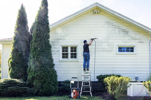 Roof Power Washing Services in Mckinney, TX